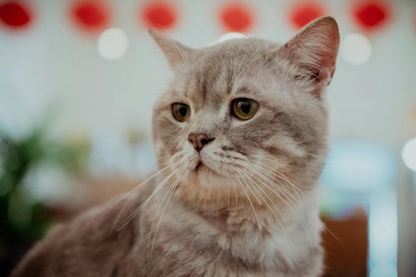 Wie kann man mit Farben in der Mode experimentieren?